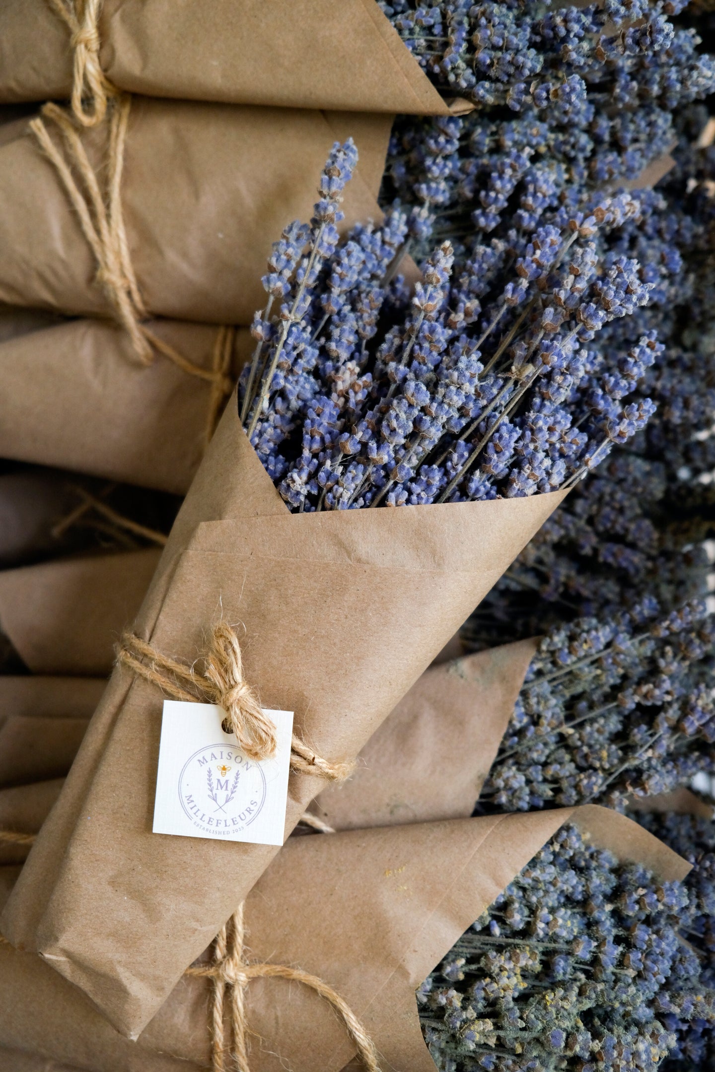 Dried Lavender Bunch
