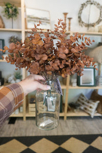 Fall Eucalyptus Bush