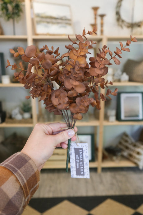 Fall Eucalyptus Bush