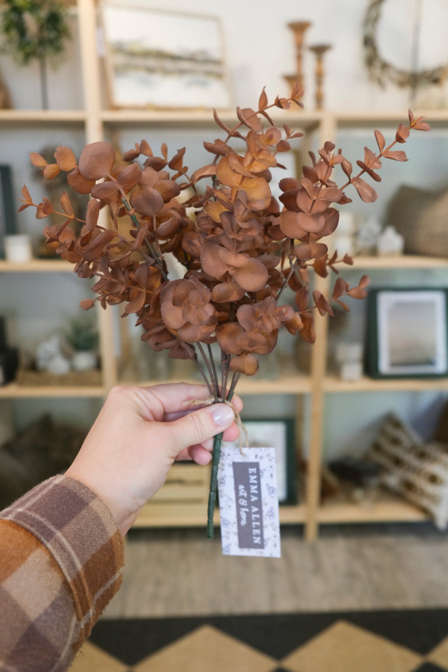Fall Eucalyptus Bush