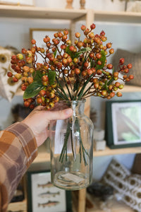 Fall Berry Bundle