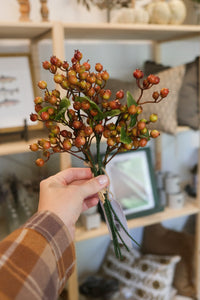 Fall Berry Bundle