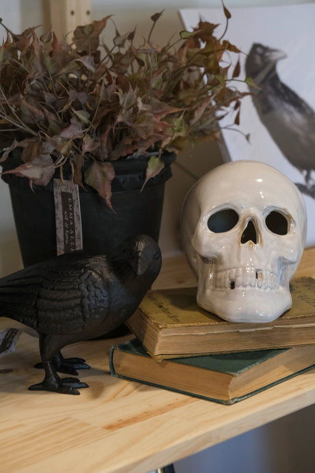 Halloween Skull
