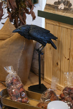 Load image into Gallery viewer, Perched Crow