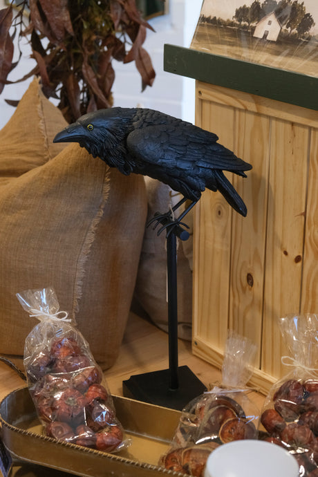 Perched Crow