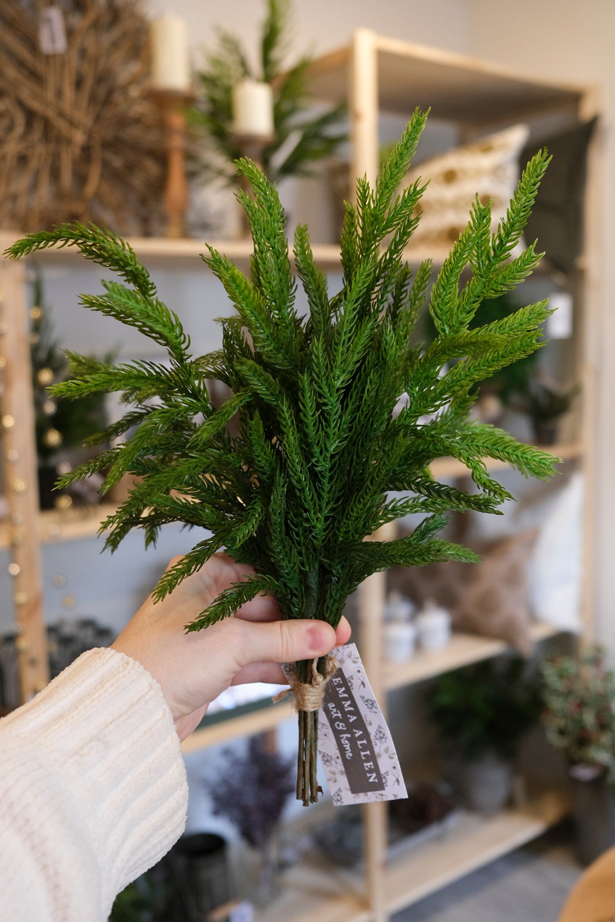 Fresh Touch Norfolk Pine Pick - 12