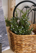 Load image into Gallery viewer, Juniper Pick - 12”