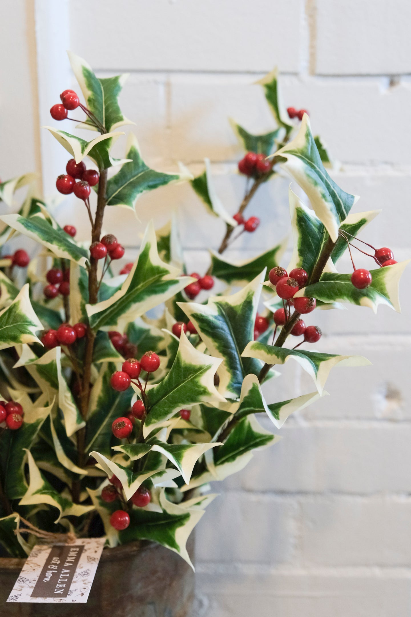 Variegated Holly Leaf & Berry Spray - 30