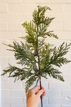 Load image into Gallery viewer, Fresh Touch Northern White Cedar Spray - 24&quot;