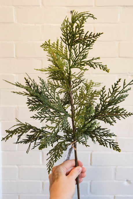 Fresh Touch Northern White Cedar Spray - 24