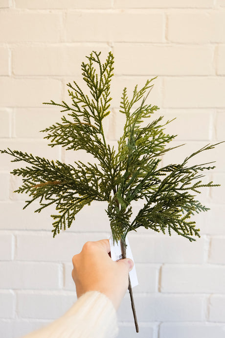 Fresh Touch Northern White Cedar Spray - 17