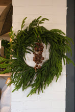 Load image into Gallery viewer, Fresh Touch Norfolk Pine Wreath - 22&quot;