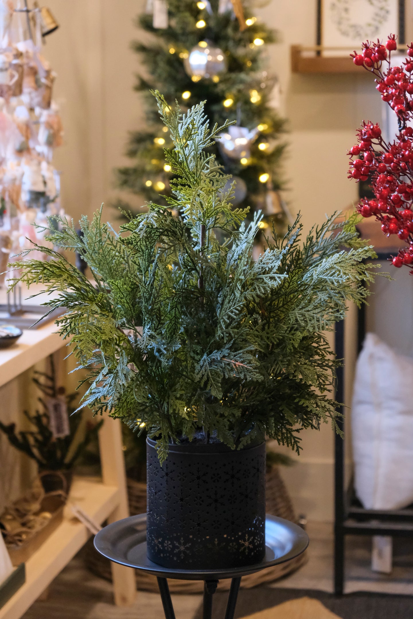 Fresh Touch Northern White Cedar Potted Tree - 24