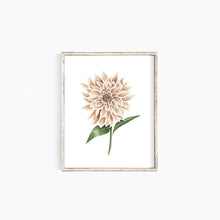 Load image into Gallery viewer, Dahlia