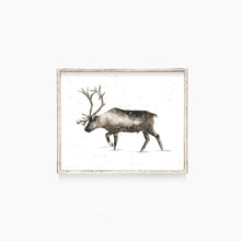 Load image into Gallery viewer, Elk