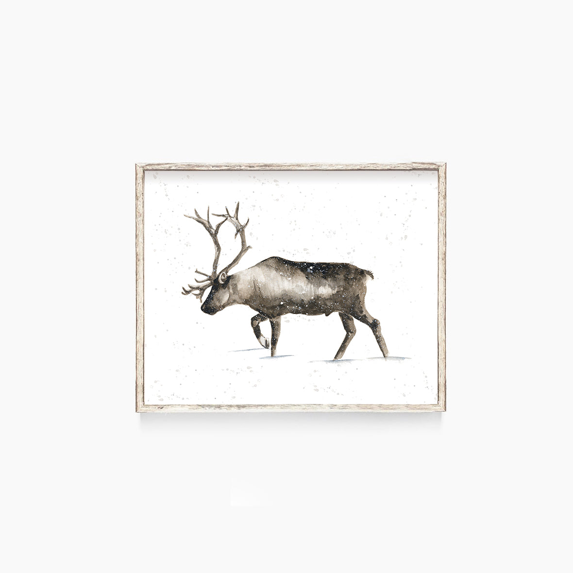Elk