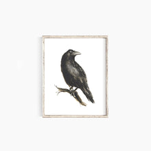 Load image into Gallery viewer, Raven