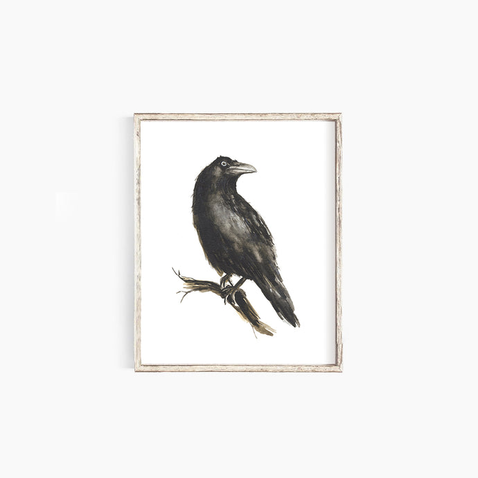Raven