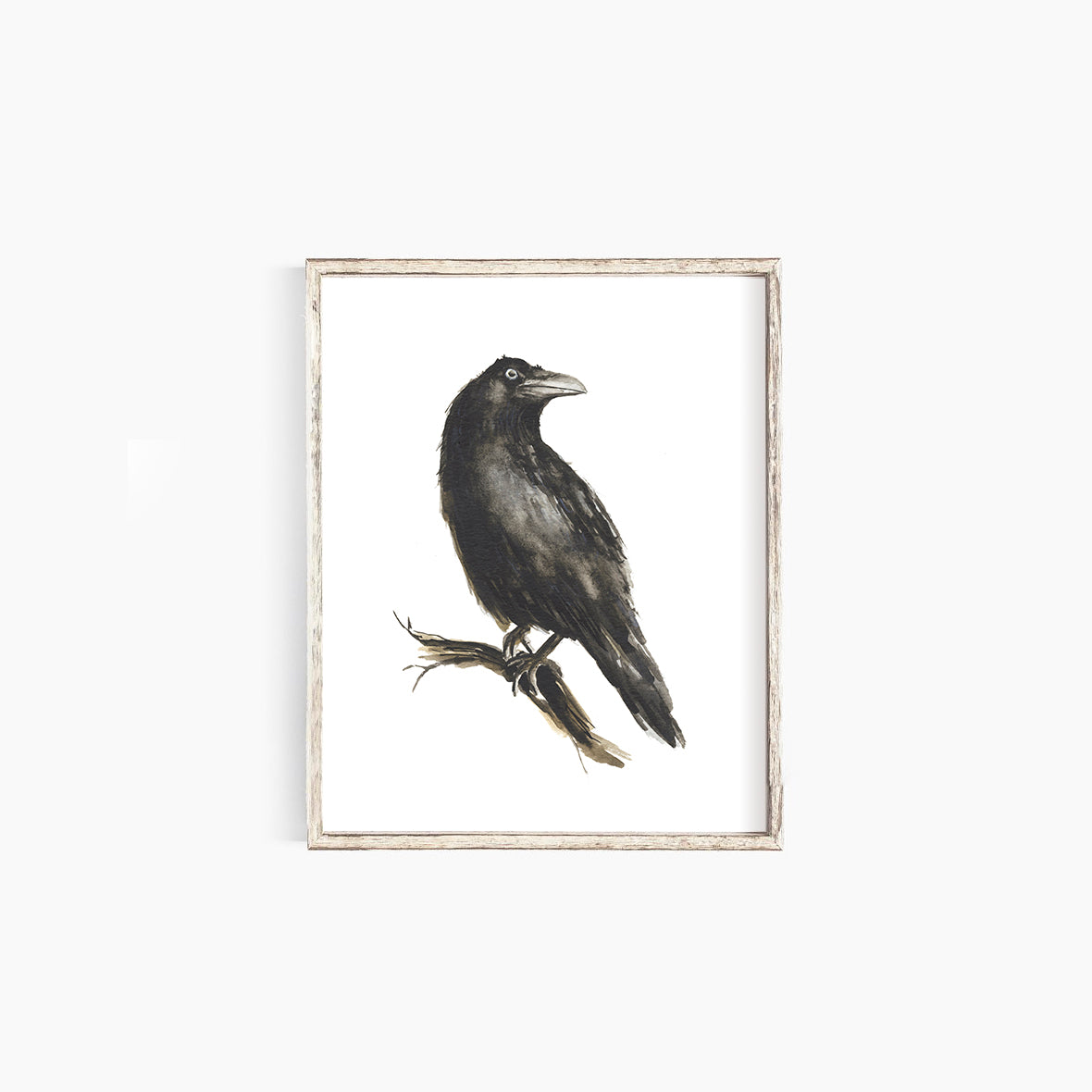 Raven