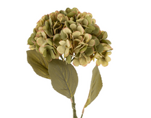 Load image into Gallery viewer, Faded Green Hydrangea Stem