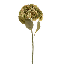 Load image into Gallery viewer, Faded Green Hydrangea Stem