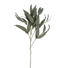 Load image into Gallery viewer, Willow Greenery Stem