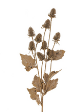 Load image into Gallery viewer, Dried Thistle Spray