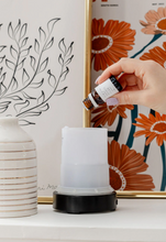 Load image into Gallery viewer, Spiced Pear Diffuser Blend