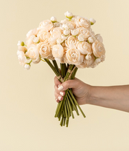 Load image into Gallery viewer, Ranunculus Bouquet - Cream
