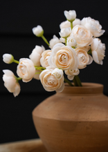 Load image into Gallery viewer, Ranunculus Bouquet - Cream