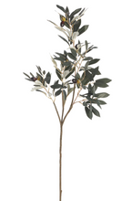 Load image into Gallery viewer, Olive Spray
