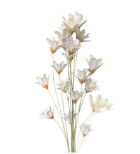 Load image into Gallery viewer, White Wildflowers Bunch