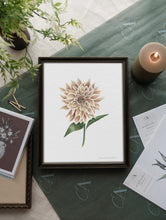 Load image into Gallery viewer, Dahlia