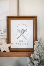 Load image into Gallery viewer, Big White