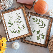 Load image into Gallery viewer, Poisonous Plants No. 2