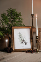 Load image into Gallery viewer, * RETIRING * Pine