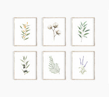 Load image into Gallery viewer, * RETIRING * Lavender