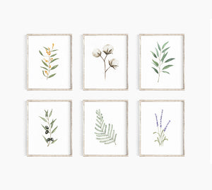 * RETIRING * Lavender