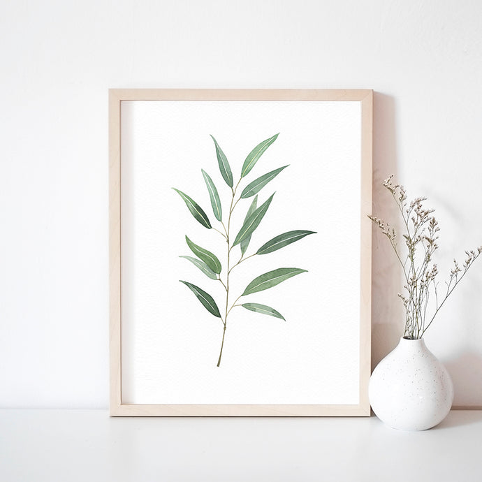 * RETIRING * Eucalyptus