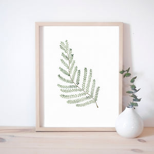 * RETIRING * Fern