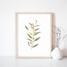 Load image into Gallery viewer, * RETIRING * Golden Wattle