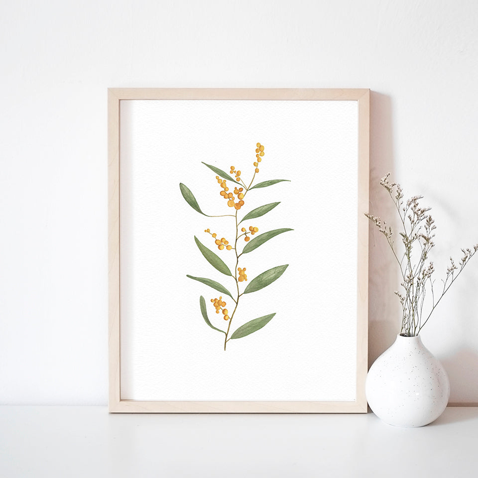 * RETIRING * Golden Wattle
