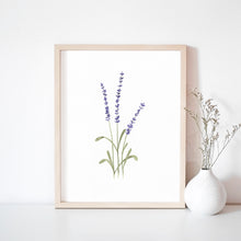 Load image into Gallery viewer, * RETIRING * Lavender