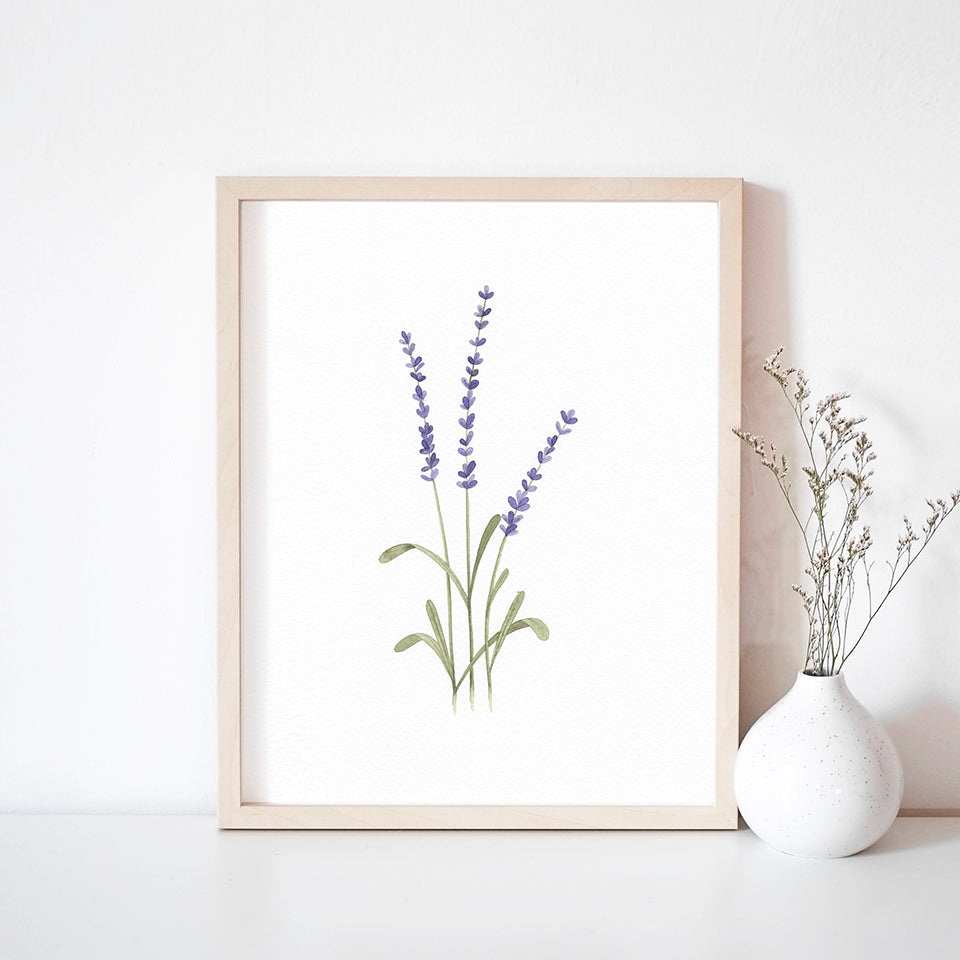 * RETIRING * Lavender