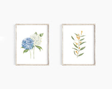 Load image into Gallery viewer, * RETIRING * Hydrangea