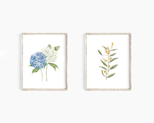 * RETIRING * Hydrangea