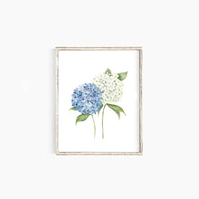 Load image into Gallery viewer, * RETIRING * Hydrangea