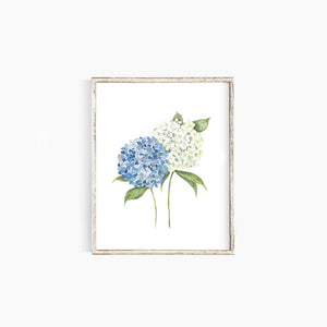 * RETIRING * Hydrangea
