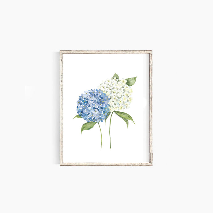 * RETIRING * Hydrangea