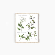 Load image into Gallery viewer, Poisonous Plants No. 1